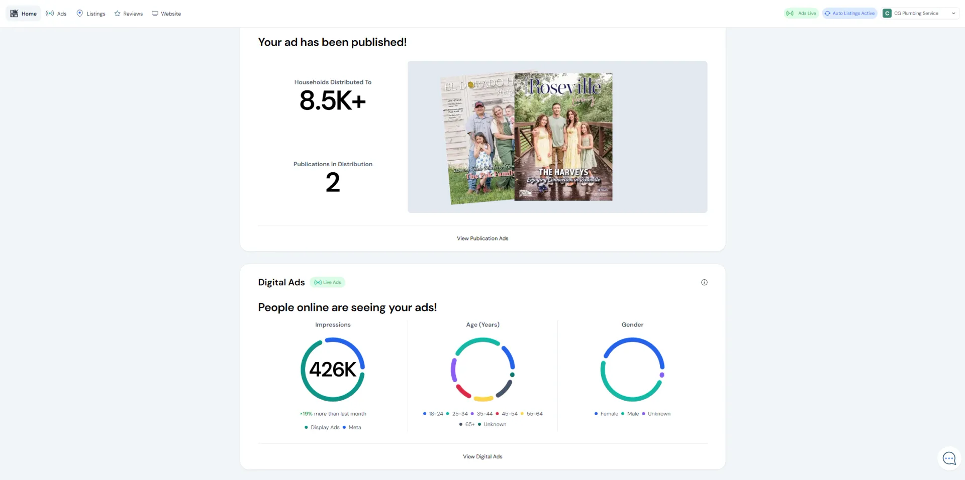 Reporting dashboard view with publication distribution and digital ad performance panels for a local campaign